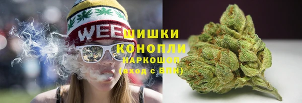 индика Абаза