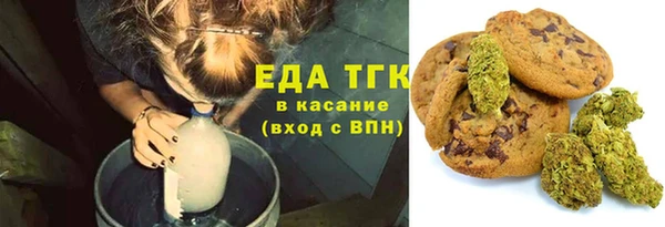 индика Абаза