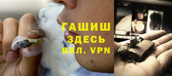 индика Абаза