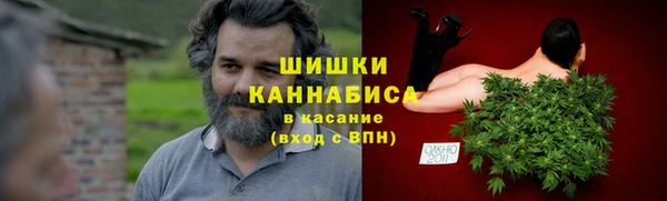 индика Абаза
