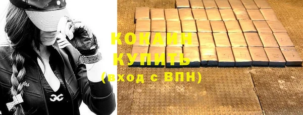 индика Абаза