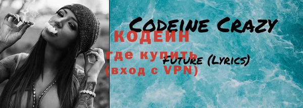 индика Абаза