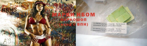 ГАЛЛЮЦИНОГЕННЫЕ ГРИБЫ Ельня
