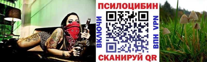 купить закладку  Темников  Галлюциногенные грибы Psilocybine cubensis 